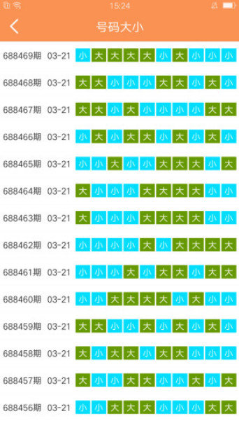 2025澳门天天开好彩大全65期，全面释义、解释与落实