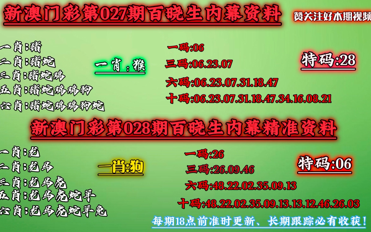 澳门今晚必中一肖一码，全面释义、解释与落实展望